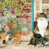IVORY CATS - Agneatha et ses Chatons sur le Pas de la Porte