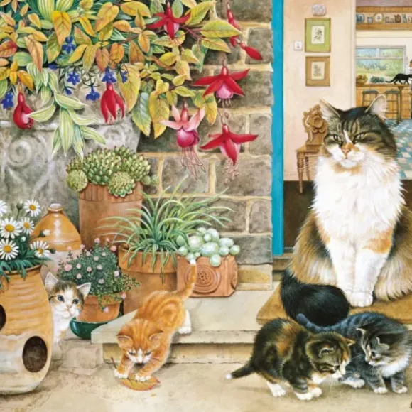 IVORY CATS - Agneatha et ses Chatons sur le Pas de la Porte