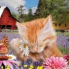 J'adore les Fleurs