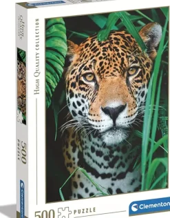 Jaguar dans la Jungle