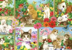 Jane Mayday - Chats et Chatons