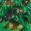 Jungle Eyes