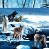 Kevin Daniel - Ice Wolves