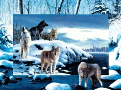 Kevin Daniel - Ice Wolves