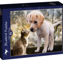 Kitten and Puppy