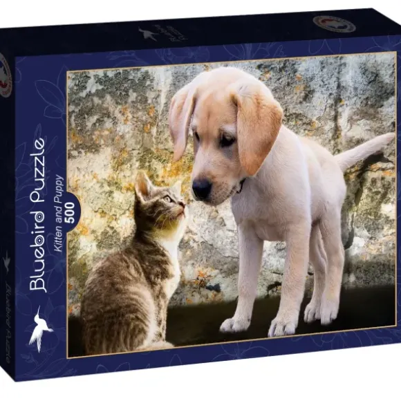 Kitten and Puppy