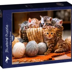 Kittens in Basket