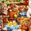 Kittens in the Potting Shed