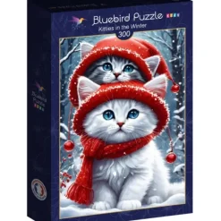 Kitties in the Winter