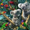 Koalas dans l'Arbre