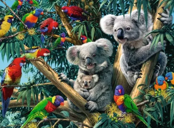 Koalas dans l'Arbre