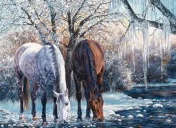 La Beauté de l'Hiver