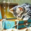 La Boîte À Bijoux