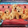Labradors en Mode Détente