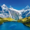 Lac de Bachalp, Alpes