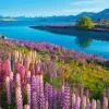 Lac Tekapo, Nouvelle-Zélande