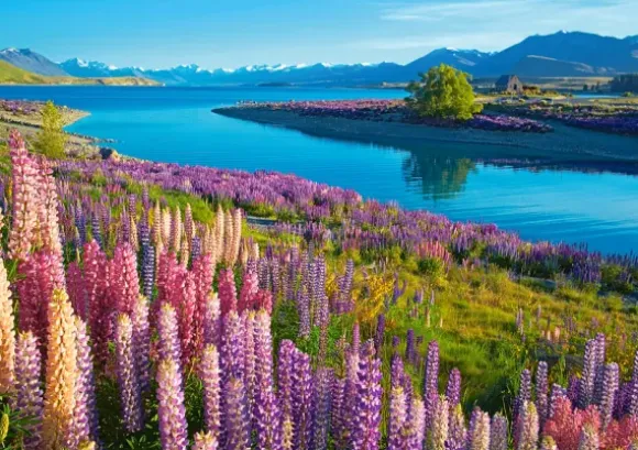 Lac Tekapo, Nouvelle-Zélande