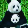 La Famille Panda