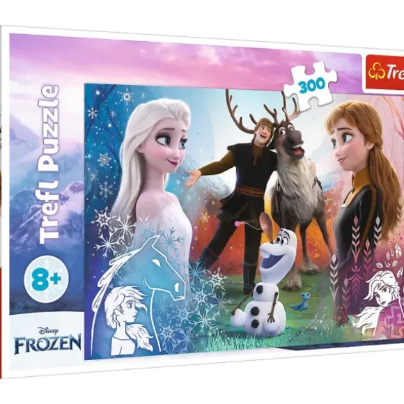 La Reine des Neiges