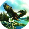 L'Atterrissage de l'Aigle