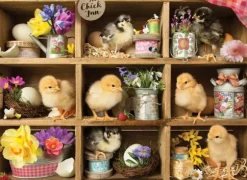 L'Auberge des Poussins