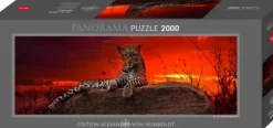 L'aube rouge