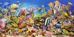 La Vie Sous-Marine