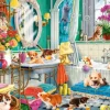 Le Bain des Animaux de Compagnie