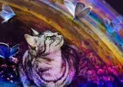 Le Chat et l'Arc-en-Ciel