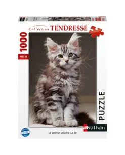 Le Chaton