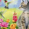 Le Jardin de Tabitha