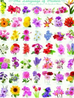 Le language des Fleurs