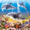 Le Monde des Dauphins