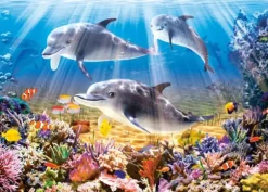 Le Monde des Dauphins