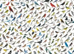 Le Monde des Oiseaux