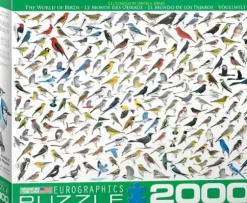 Le Monde des Oiseaux, par David Sibley