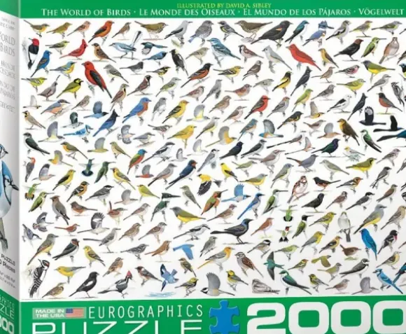 Le Monde des Oiseaux, par David Sibley