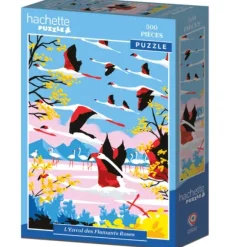 L'Envol des Flamants Roses
