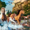 Le Pays des Merveilles du Cheval