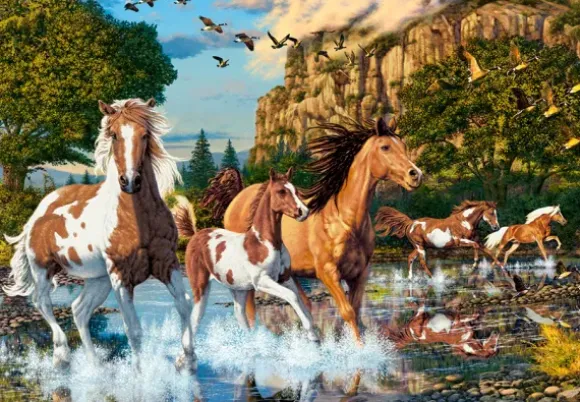 Le Pays des Merveilles du Cheval