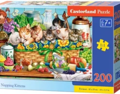 Les Chatons à la Sieste
