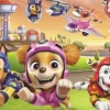 Les Chiens Sont Au Sommet - Viacom Pat'Patrouille