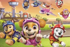 Les Chiens Sont Au Sommet - Viacom Pat'Patrouille