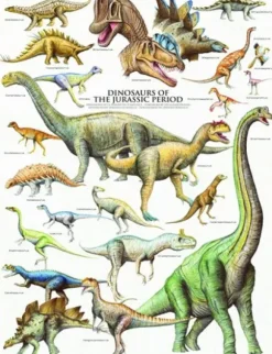 Les Dinosaures - Période du Jurassique
