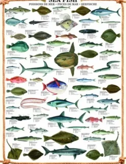 Les poissons
