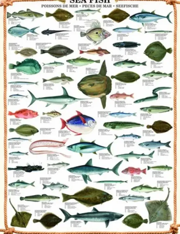 Les poissons