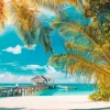 Levente Bodo - Plage Paradisiaque