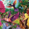 L'Heure Du Thé : Jardin Des Colibris