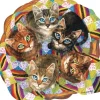 Linda Elliot - Kitten Basket