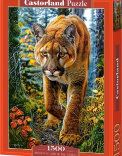 Lion des Montagnes dans la Forêt